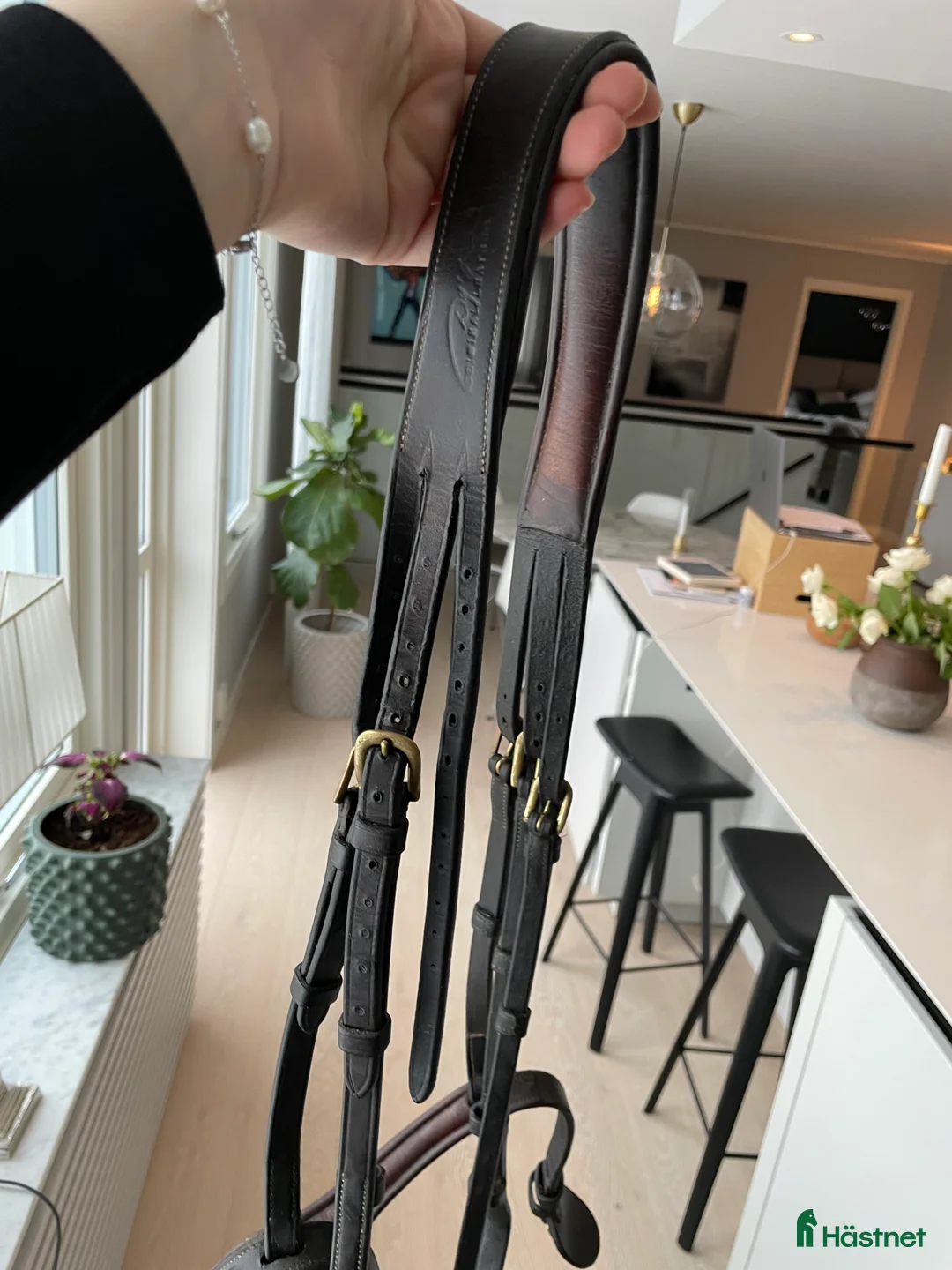 Träns hästutrustning till salu: Dyon träns i Ekerö - Annons 2