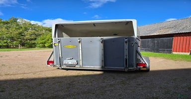 Hästtransporter  fordon & transport till salu i Helsingborg - Annons 9