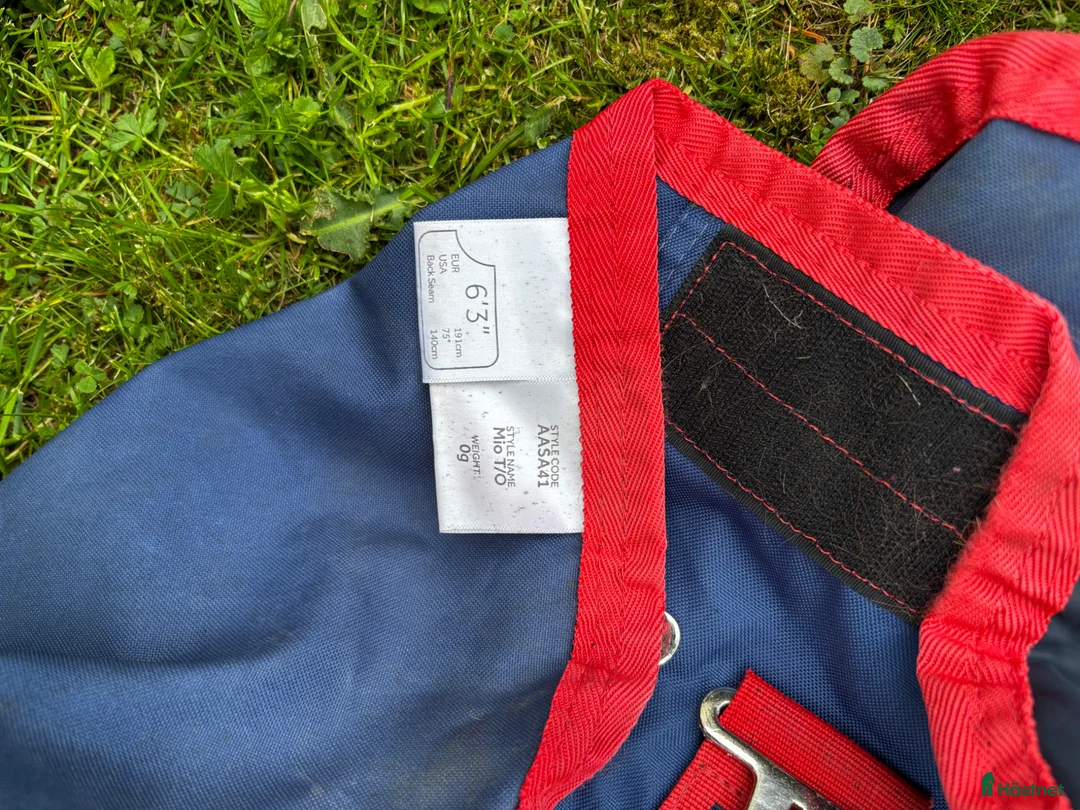 Täcken hästutrustning till salu: Mio täcken - Annons 2