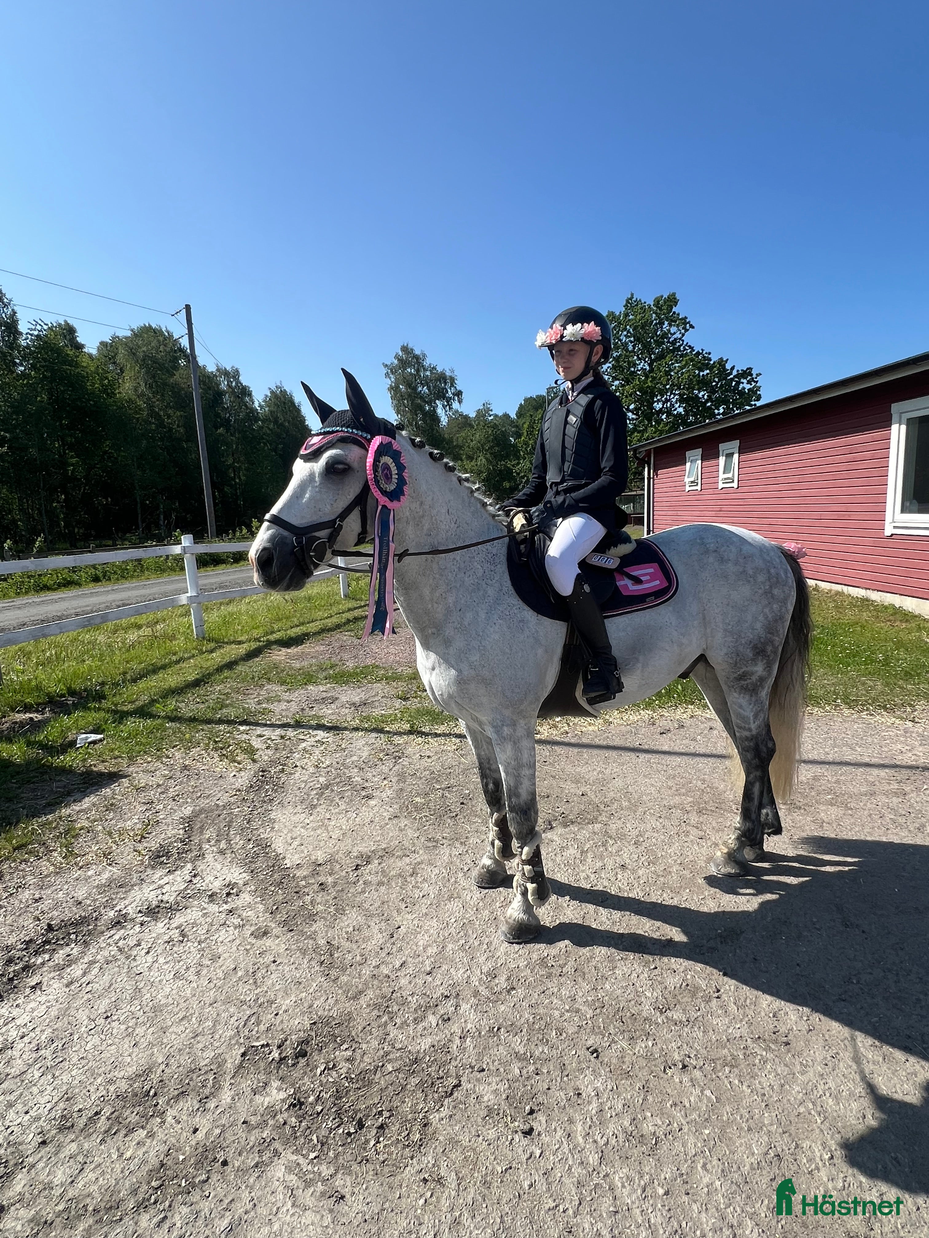  hästar Bästa vän och tävlingsponny - Annons 1