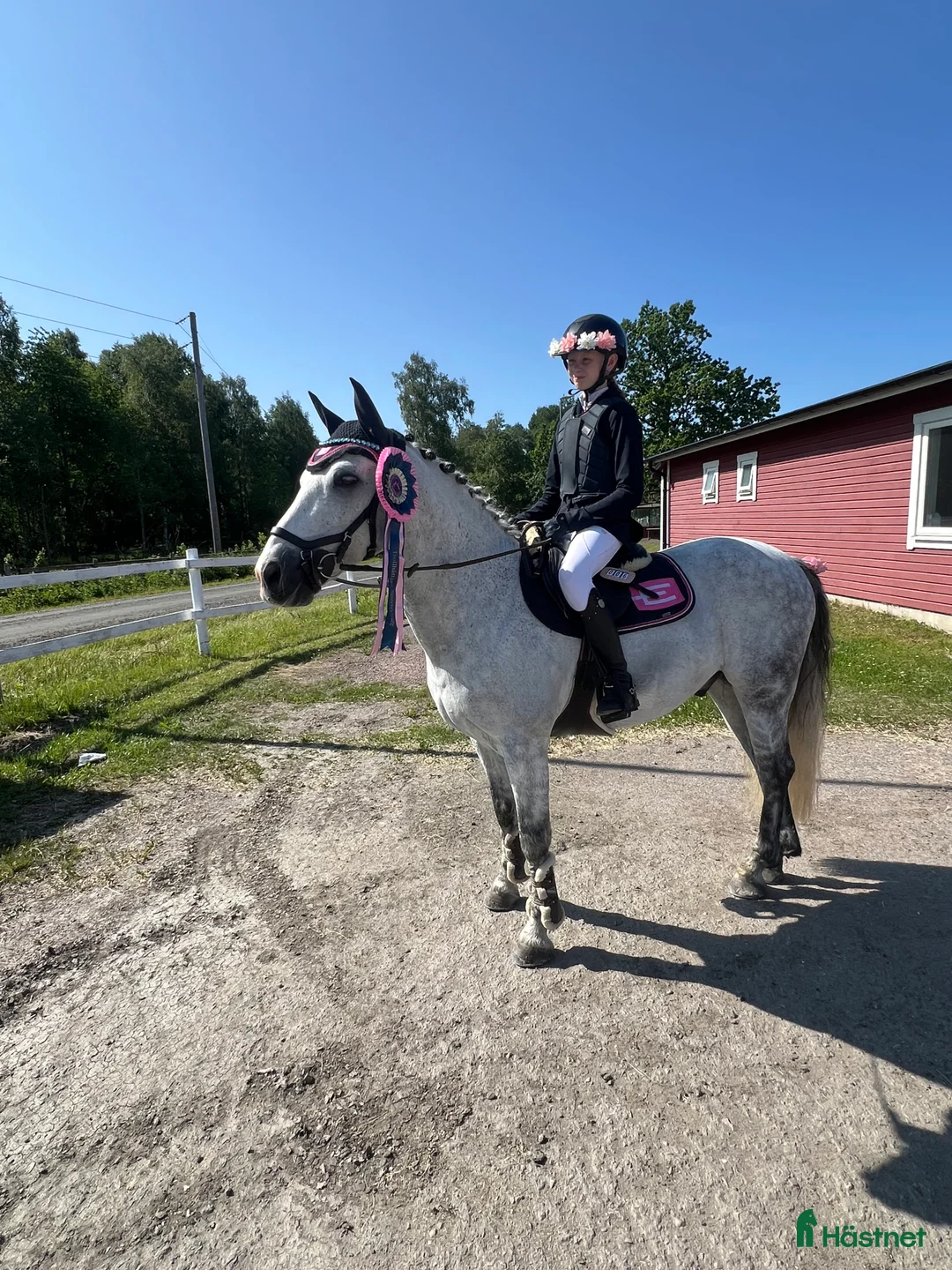 Hoppning hästar till salu: Bästa vän och tävlingsponny - Annons 1