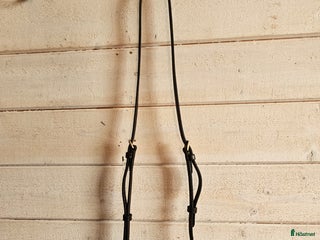 Träns hästutrustning till salu: Nosgrimma i Hackås - Annons 7