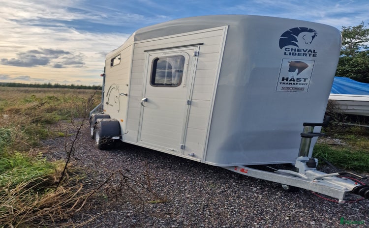 Hästtransporter  fordon & transport till salu i Enköping - Annons 14