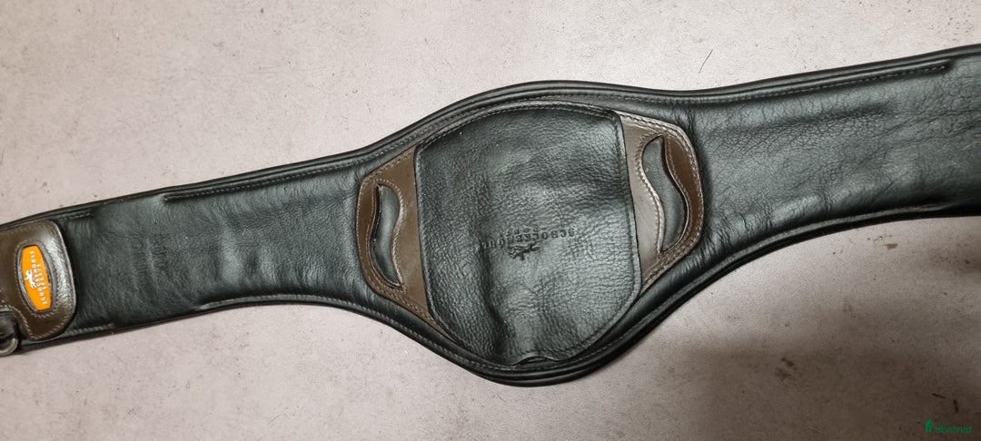 Sadeltillbehör hästutrustning till salu: Schockemöhle Sadelgjord i Sölvesborg - Annons 3