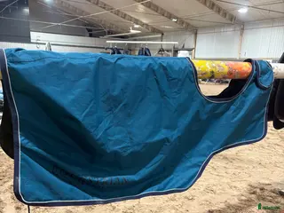 Täcken hästutrustning till salu: Ländtäcke ES i Lidköping - Annons 4