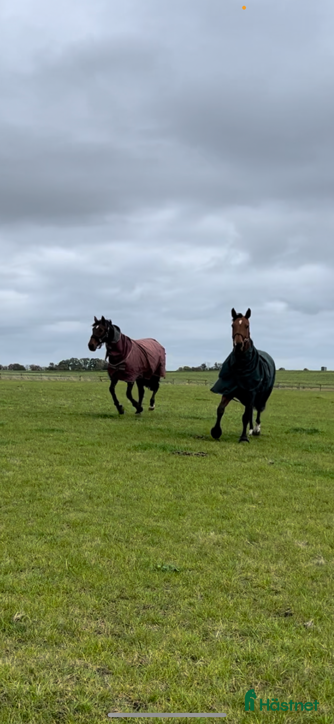  stallplats Stallplats utanför Svedala - Annons 21