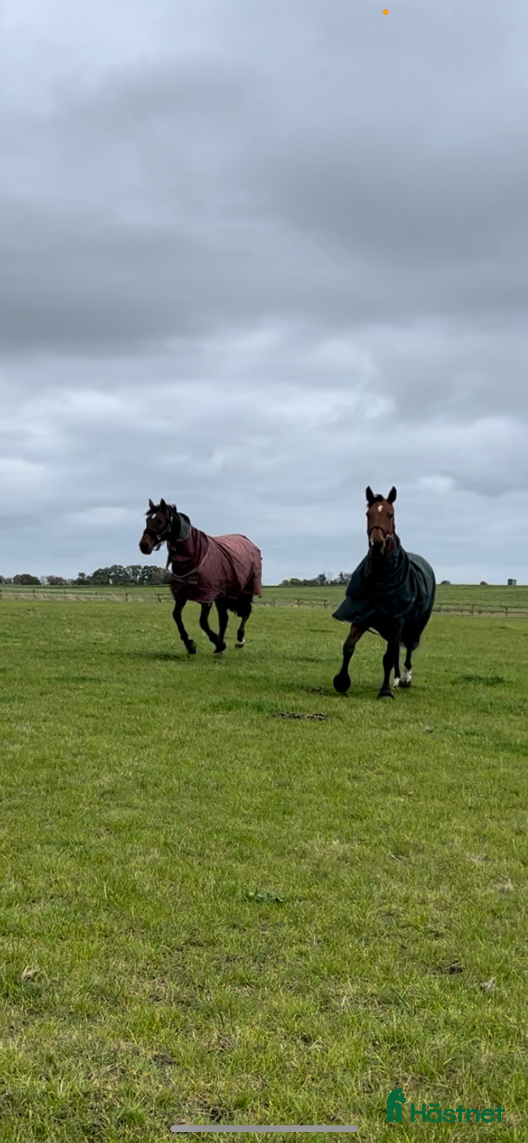  stallplats finnes: Stallplats utanför Svedala i Limhamn - Annons 1