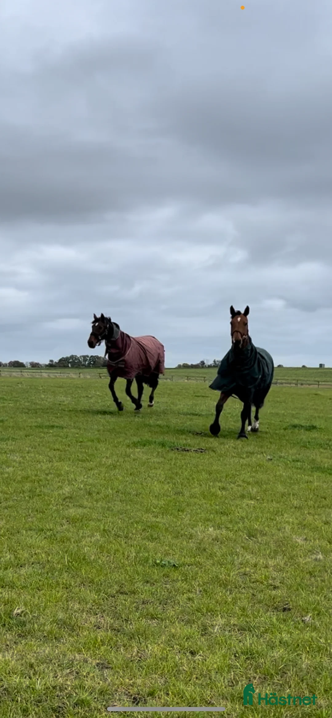  stallplats finnes: Stallplats utanför Svedala - Annons 1