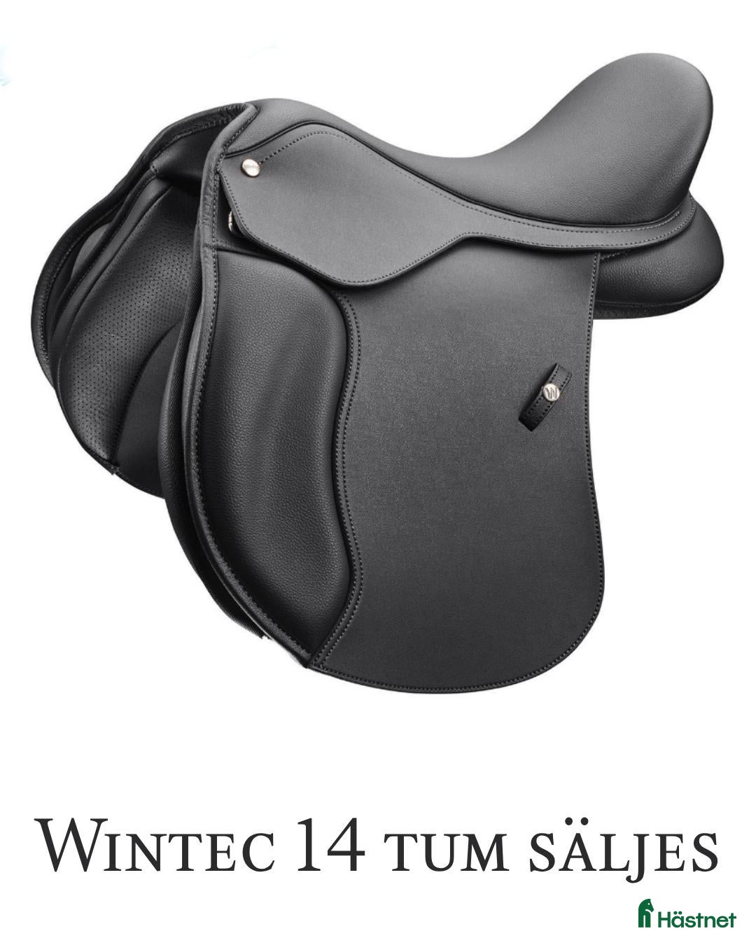 Sadlar hästutrustning ⭐️ Wintec 14 tum ⭐️ - Annons 15