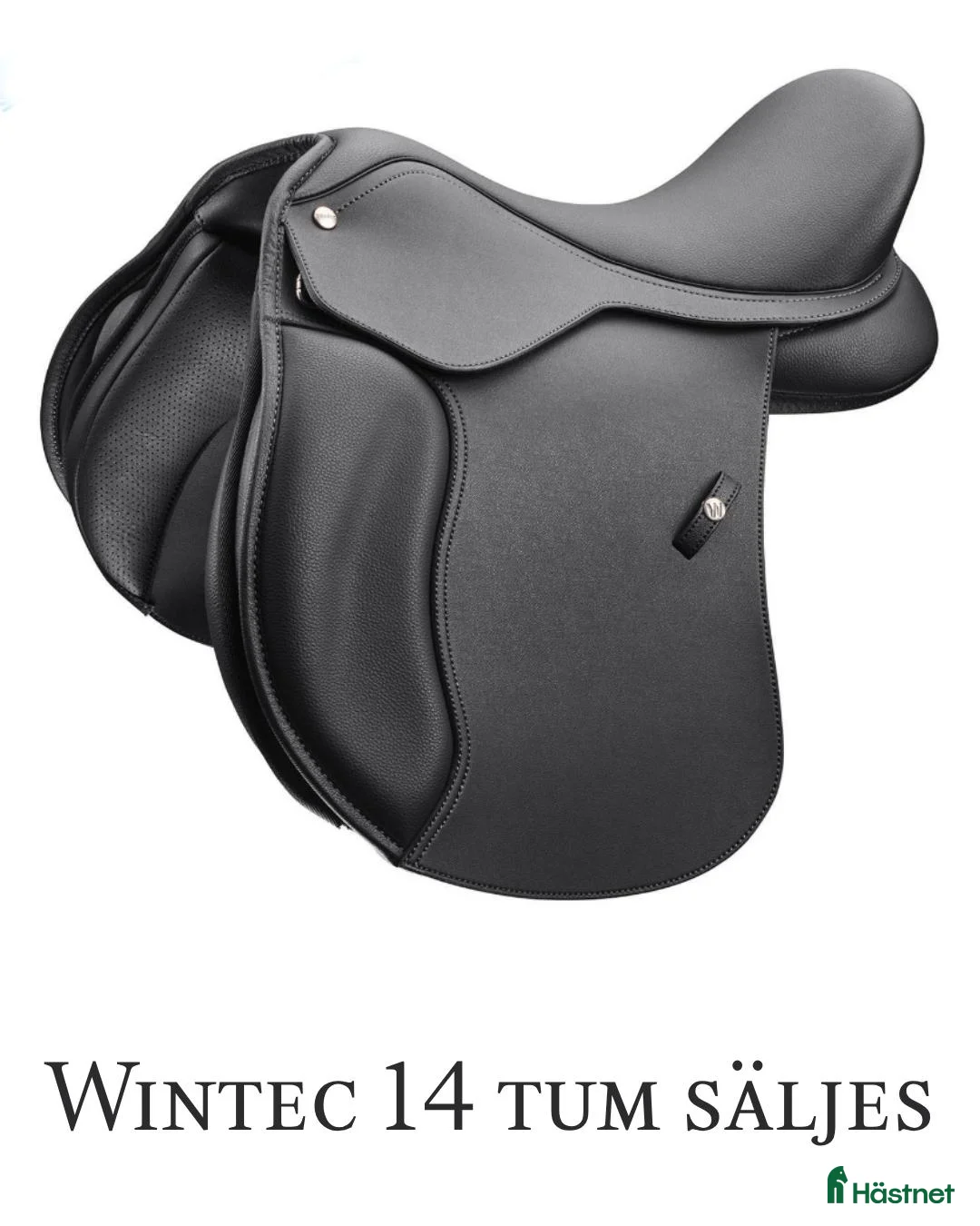 Sadlar hästutrustning till salu: ⭐️ Wintec 14 tum ⭐️ - Annons 1