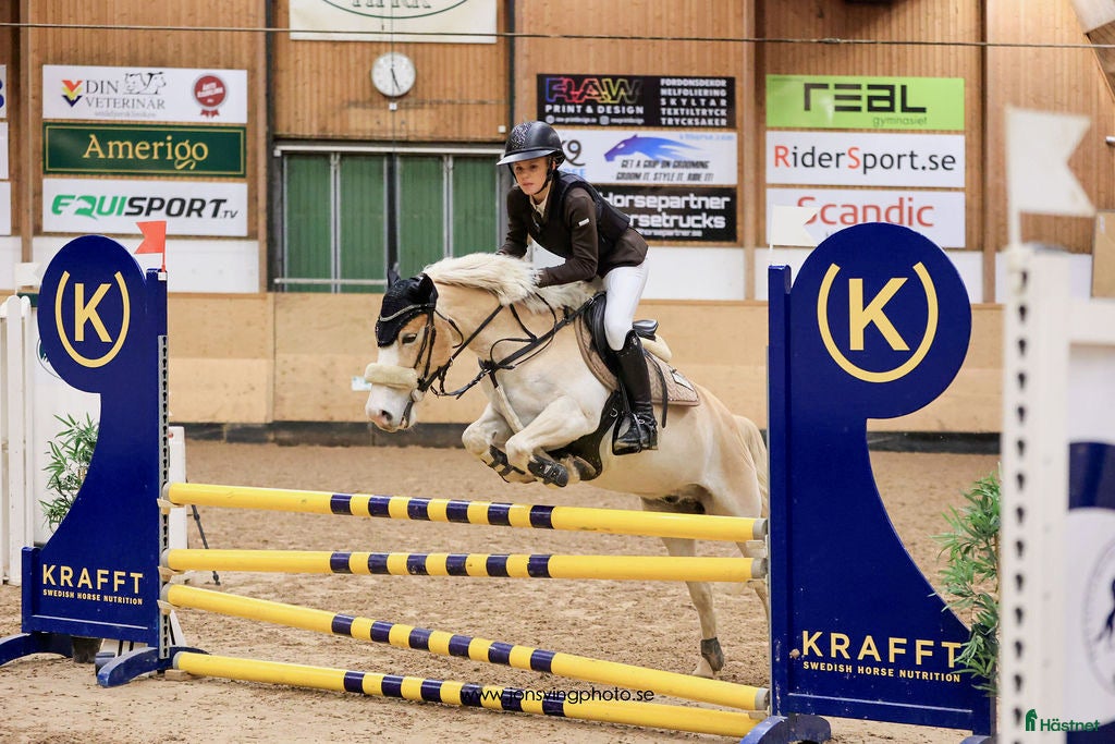  hästar Hoppglad c-ponny  - Annons 1