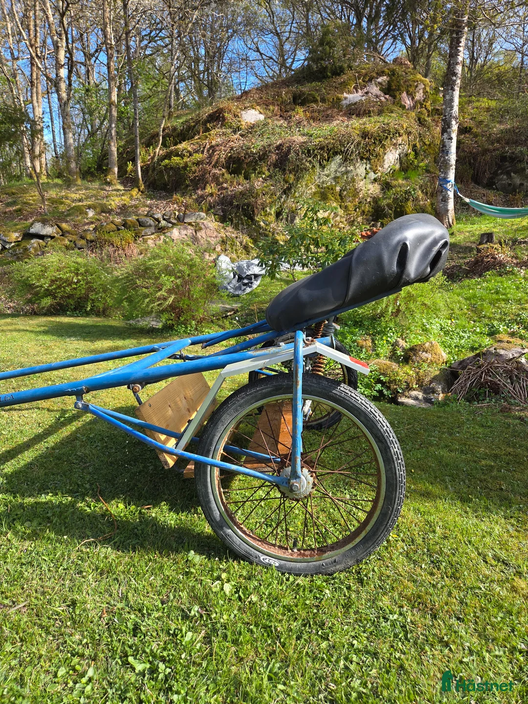 Körsulkys körning till salu: Rockard till ponny  - Annons 2