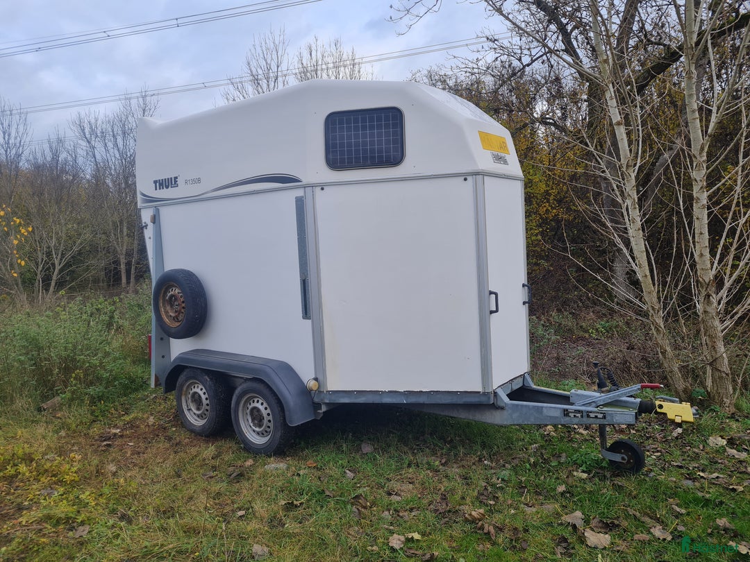 Hästtransporter  fordon & transport till salu: Hästtransport Thule  i Borensberg - Annons 1