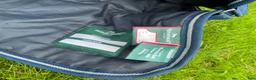 Täcken hästutrustning till salu: Horseware liner 300g - Annons 3