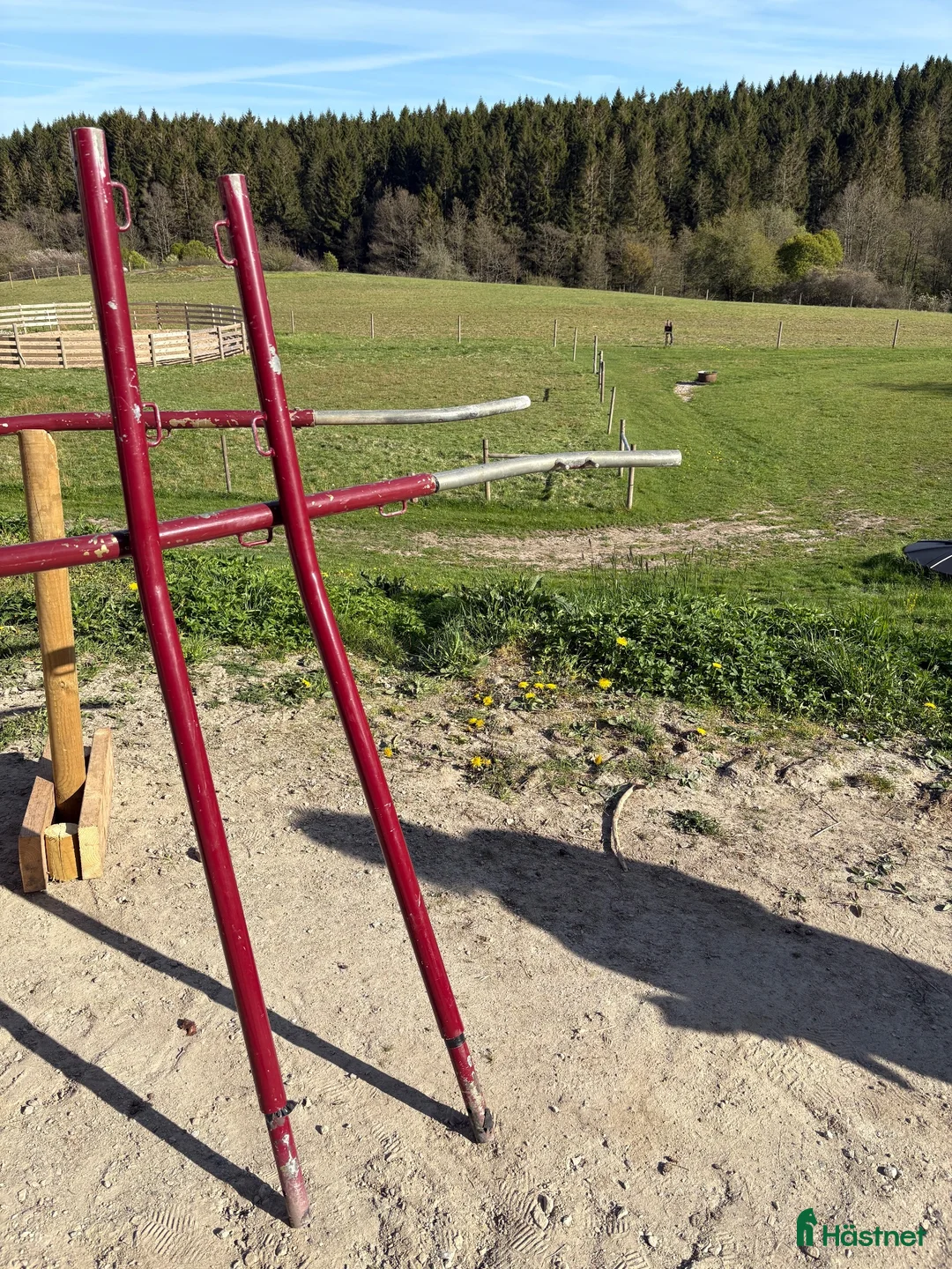 Körvagnar körning till salu: Troed gigg - Annons 5