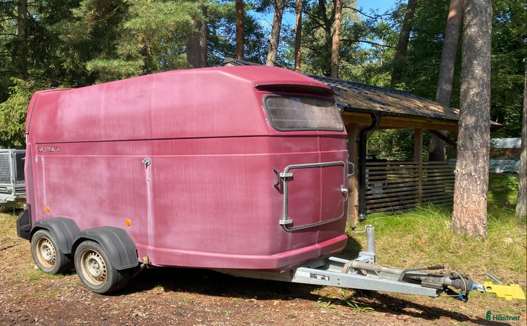 Hästtransporter  fordon & transport till salu i Saxtorp - Annons 8