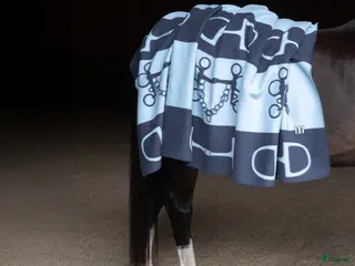 Täcken hästutrustning Filt - Annons 2