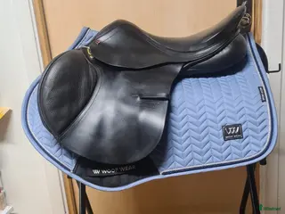 Sadlar hästutrustning Albion Adjusta Kontrol i Hamneda - Annons 12