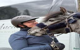 Allround hästar till salu: Sockersöt riden welshponny 3 år i Nybro - Annons 6