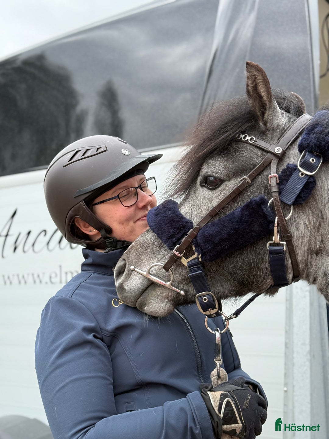 Allround hästar till salu: Sockersöt riden welshponny 3 år i Nybro - Annons 6