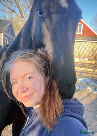 hästjobb i Knutby - Annons 15