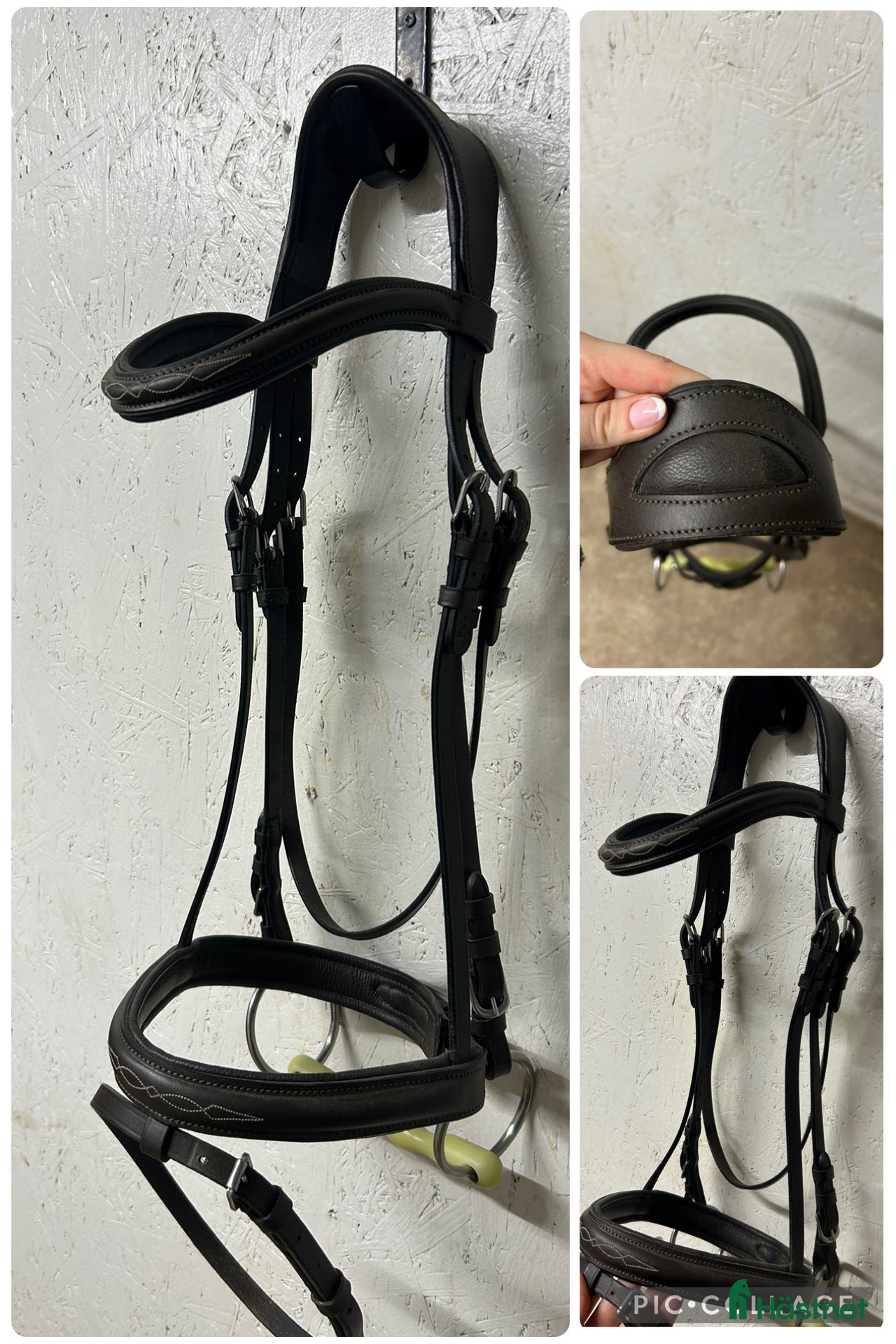 Träns hästutrustning till salu: brunt träns  i Blåsmark - Annons 7