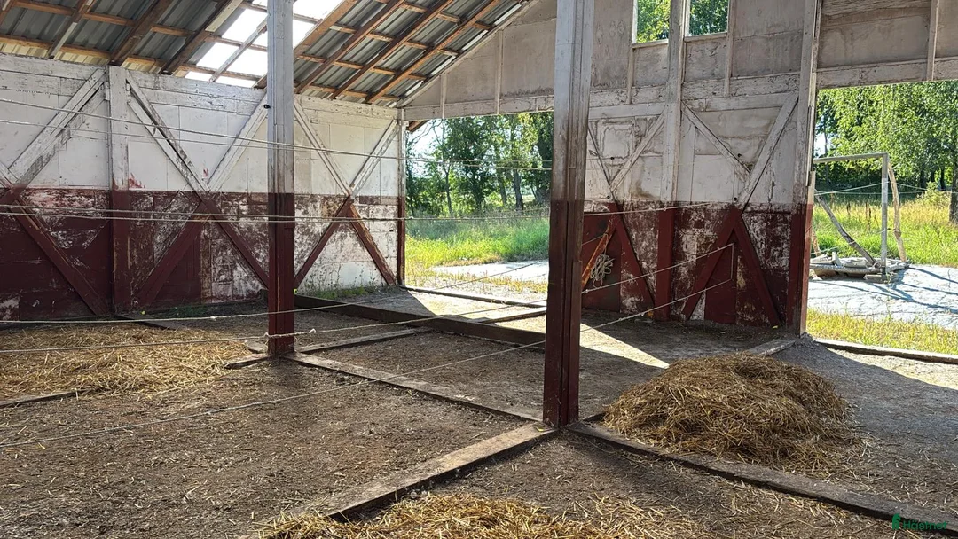  stallplats finnes: Göteborg Lösdrift Box - Annons 3