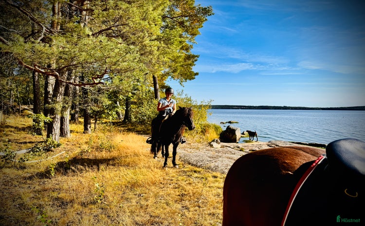  hästjobb i Stora Sundby - Annons 16