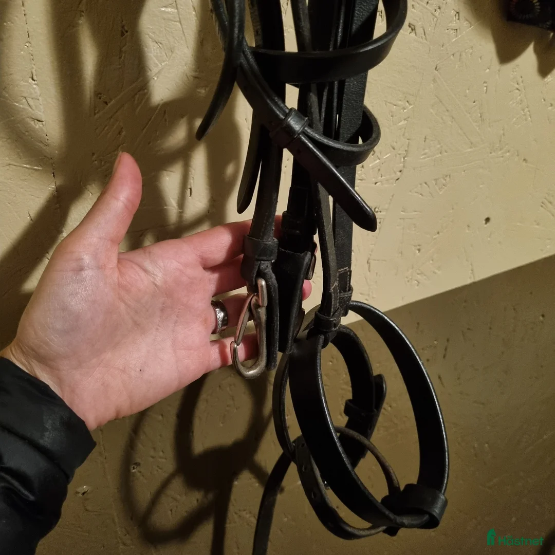 Övrig Hästutrustning hästutrustning till salu: Utrustning sadel och träns m.m. - Annons 3