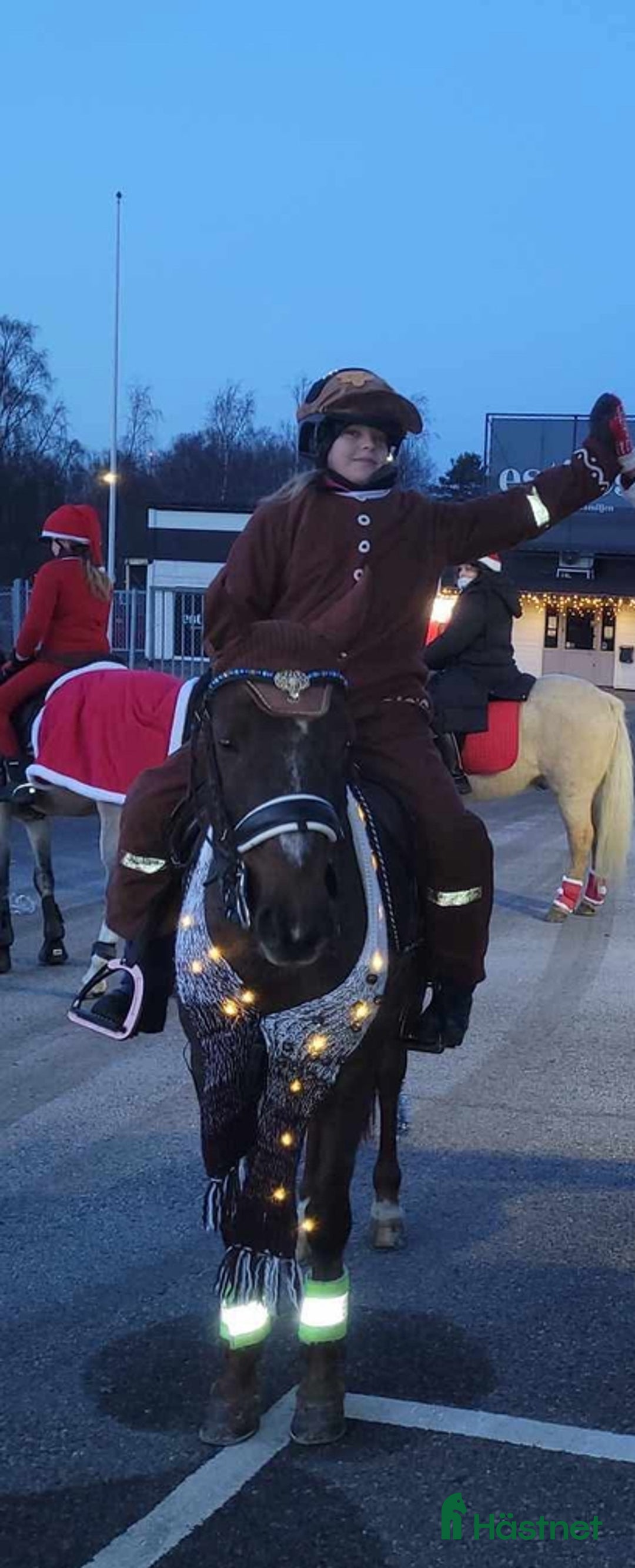 Hoppning hästar till salu: Fantastisk Läromästare  i Sävsjö - Annons 14