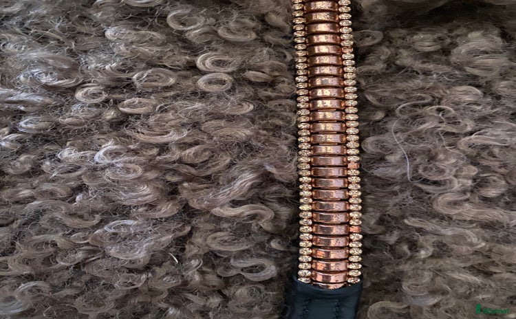 Träns hästutrustning till salu: Polarnosgrimma och pannband säljs! i Frillesås - Annons 11