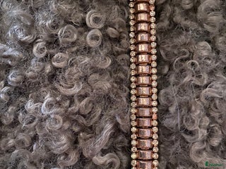 Träns hästutrustning till salu i Frillesås - Annons 37