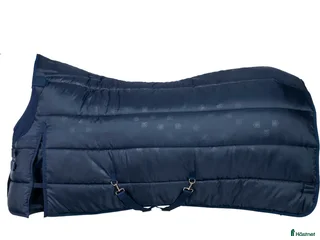 Täcken hästutrustning till salu: **SÖKES** i Skattungbyn - Annons 4