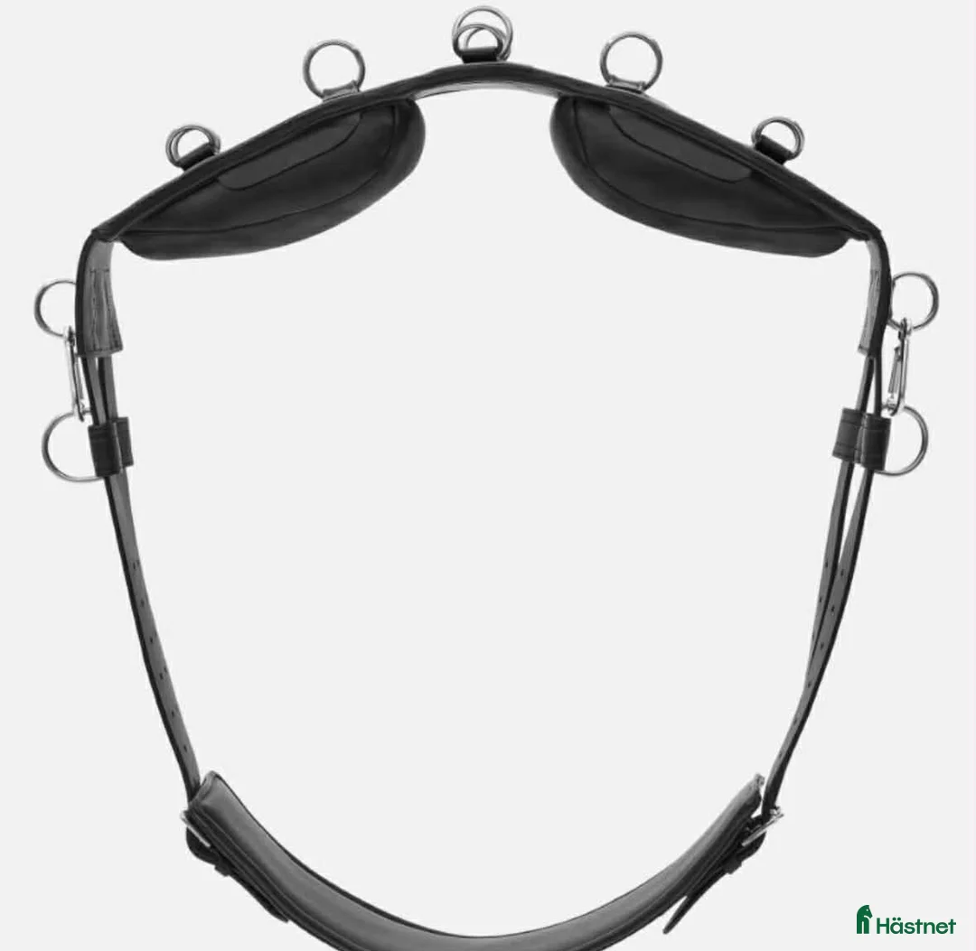 Övrig Hästutrustning hästutrustning till salu: Tömkörningsgjord i Hovås - Annons 1