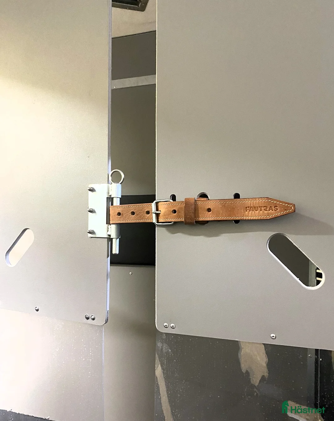 Hästtransporter  fordon & transport till salu: Oblic X -stor diagonallastad modell + sadelkammare - Annons 27