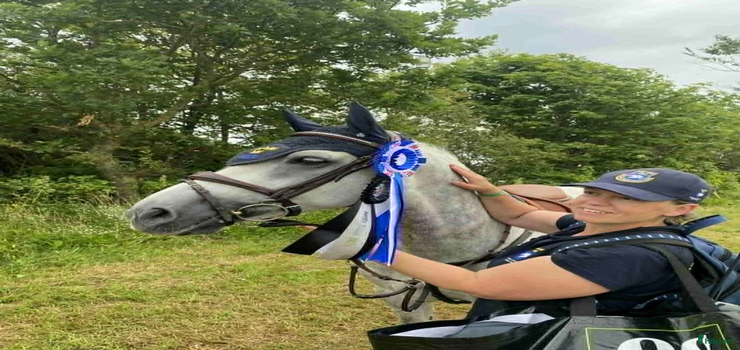 Galleribild {{count}}