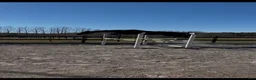 Hoppning hästar till salu: Lovande 3-årig SWB-valack med kapacitet! - Annons 1
