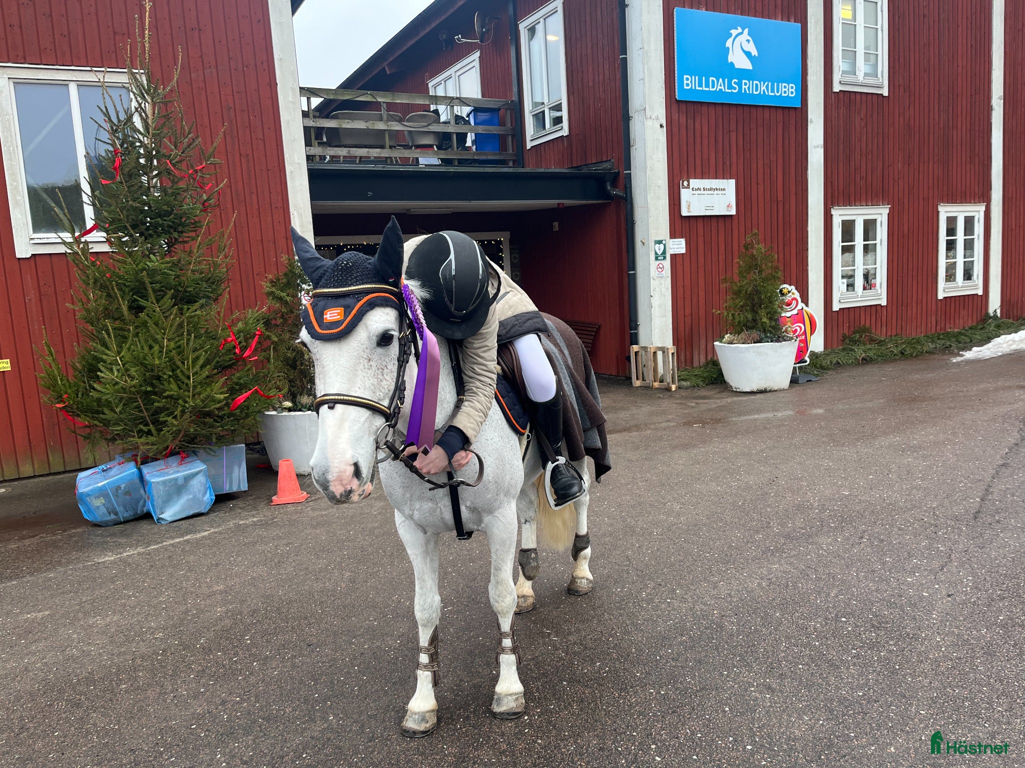 Allround hästar till salu: Ponnyn för alla grenar - Annons 3