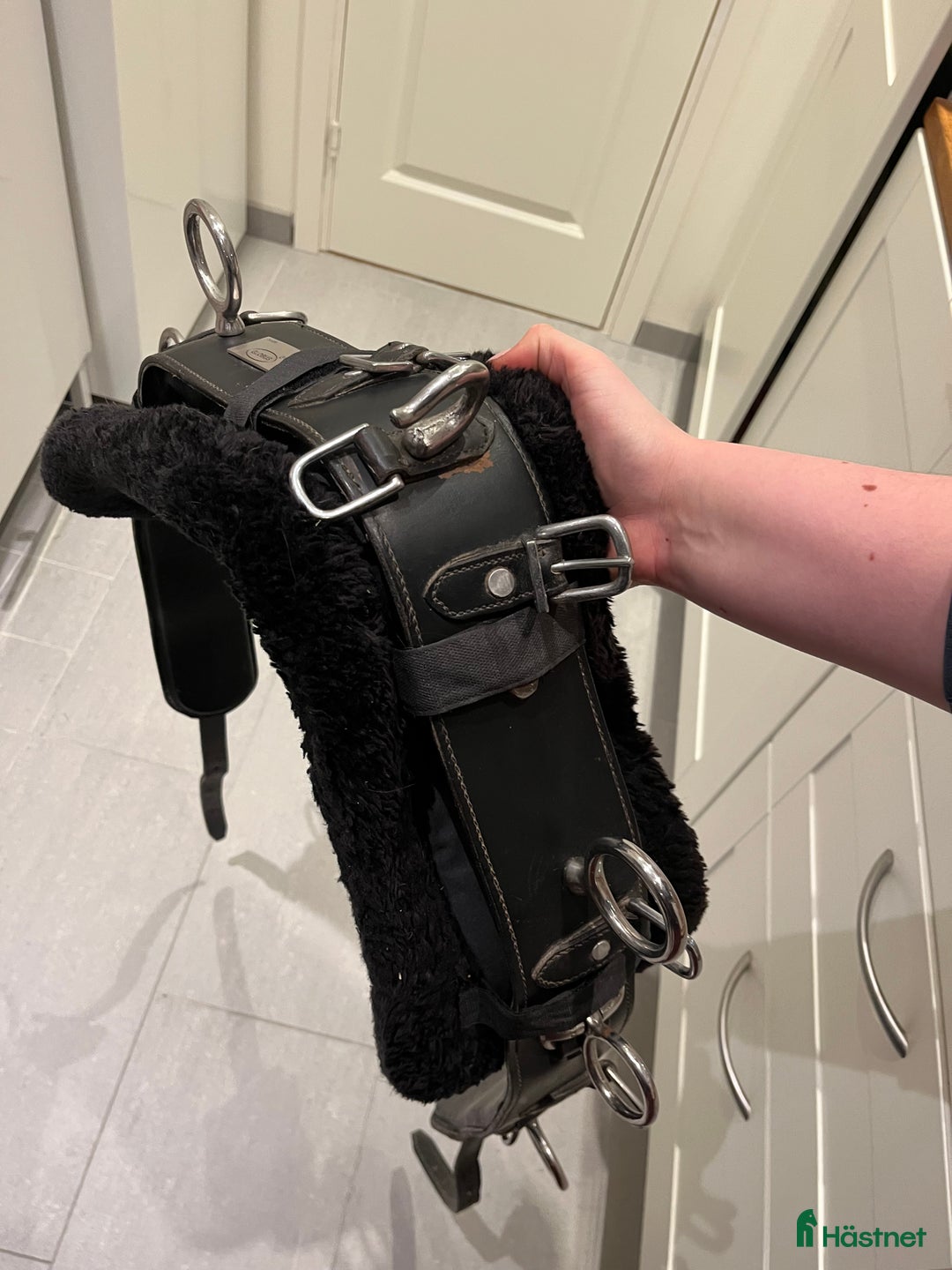 Övrig Hästutrustning hästutrustning till salu: Tömkörningsgjord i Dalby - Annons 4