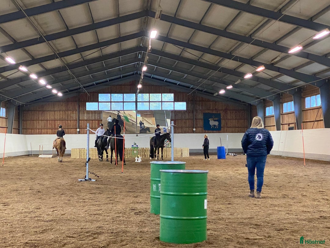  stallplats finnes: Behöver du stallplats på Ekerö?  i Skå - Annons 6