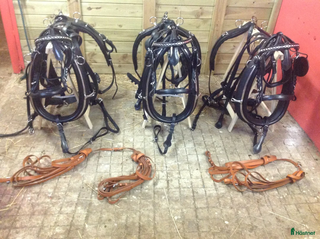 Körselar körning till salu: 3 kompletta seldon för enbet och par - nyskick - Annons 1