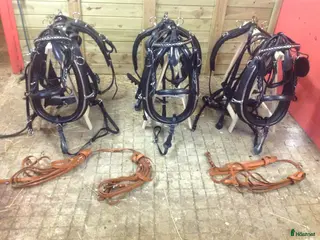 Körselar körning till salu: 3 kompletta seldon för enbet och par - nyskick - Annons 2