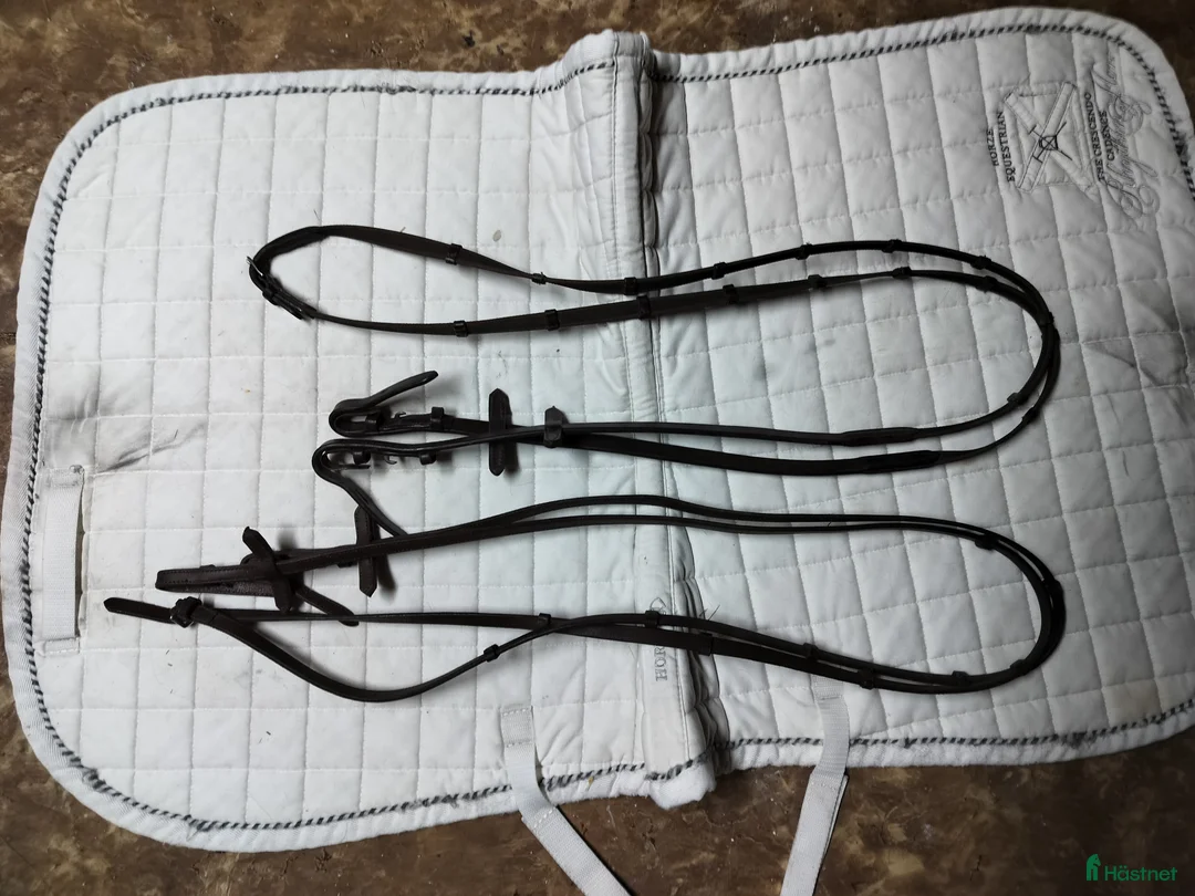 Träns hästutrustning till salu: LIPPO suprime full brunt i Ullared - Annons 3