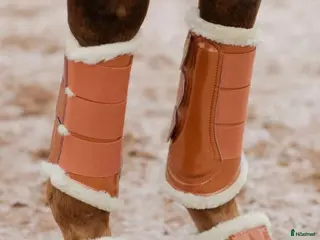 Benskydd hästutrustning till salu: Es skydd oanvända i Ljusterö - Annons 2