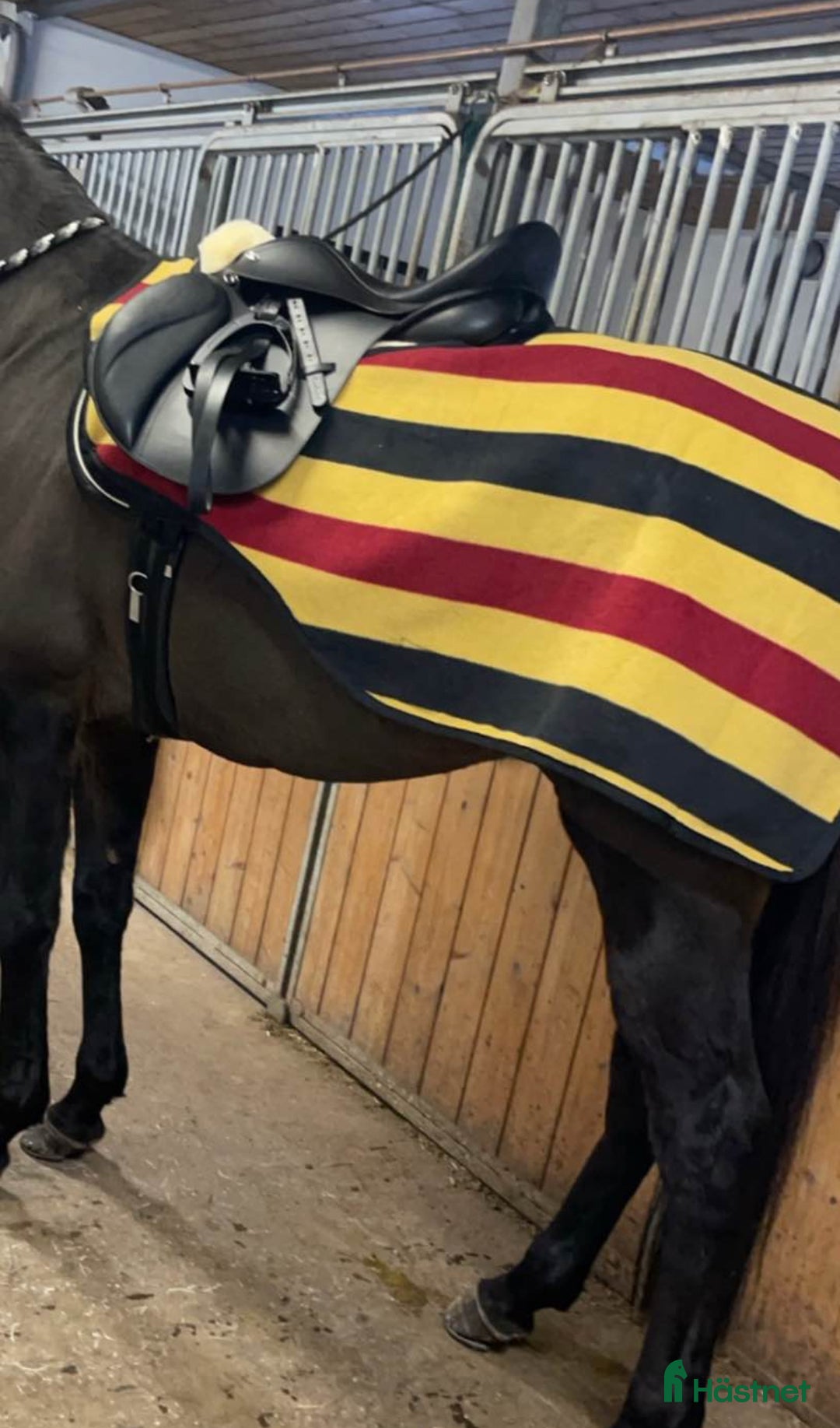 Täcken hästutrustning till salu: Rambo fleece landridtäcke. i Södertälje - Annons 2