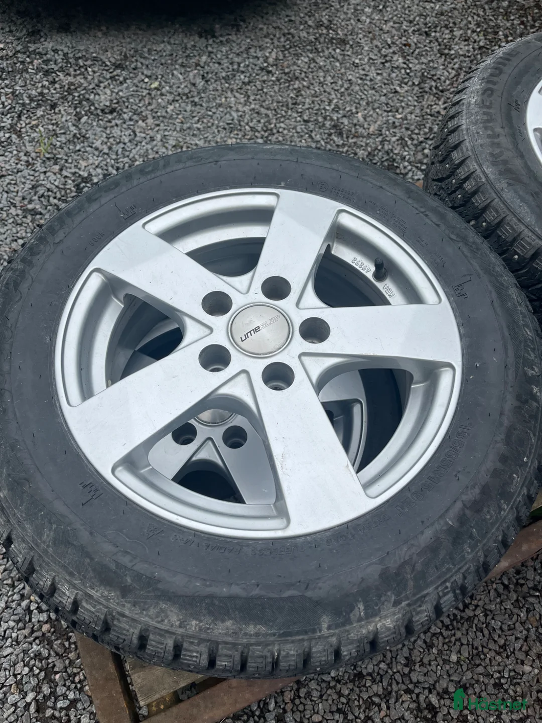 Hästtransporter  fordon & transport till salu: Umesläp B60 i Degerfors - Annons 8