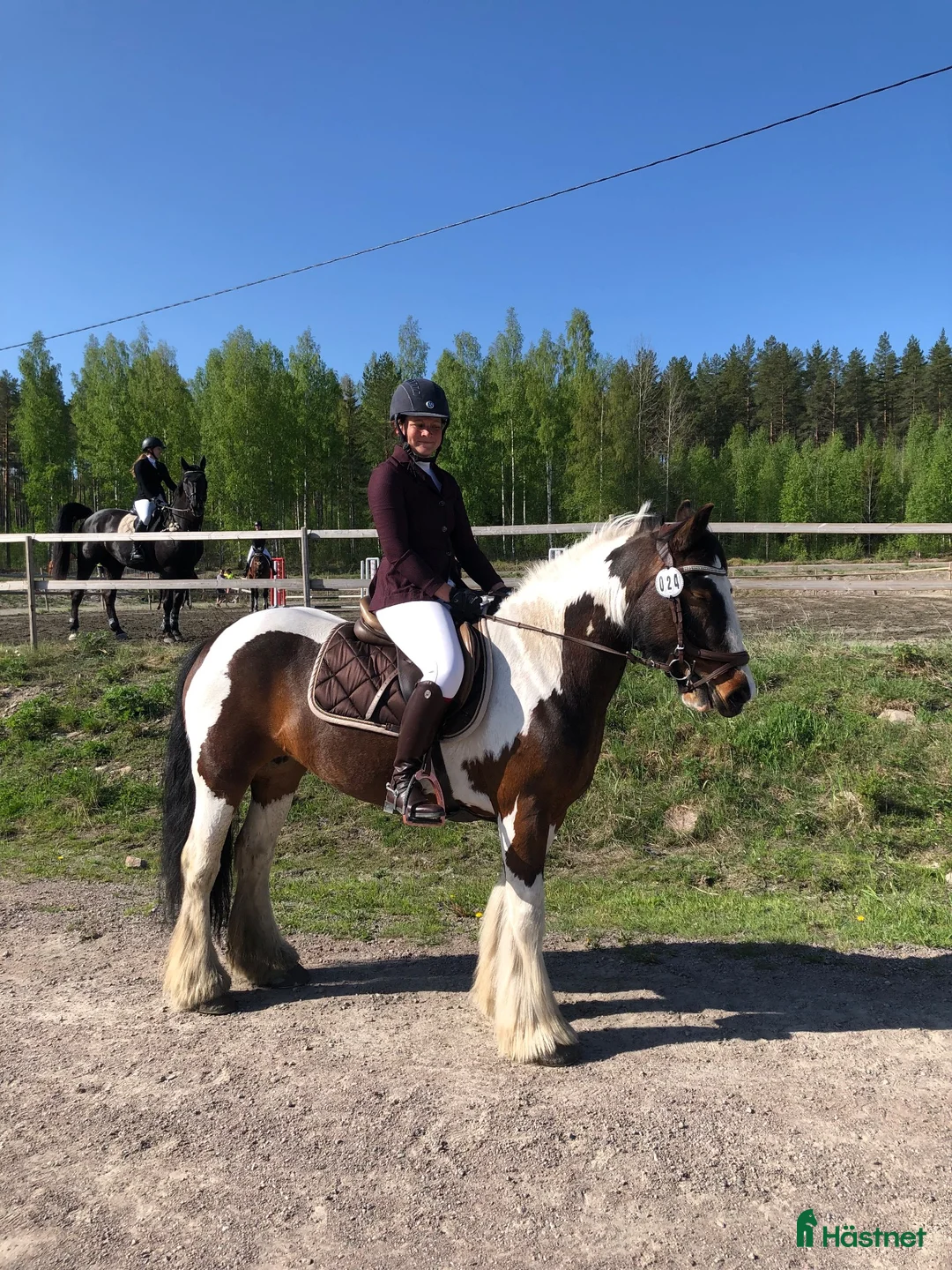 Allround hästar till salu: Dräktigt irish cob sto med stoföl vid sida  - Annons 2