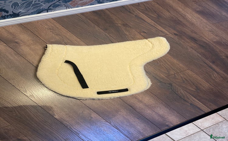 Schabrak & Vojlockar hästutrustning till salu i Onsala - Annons 12