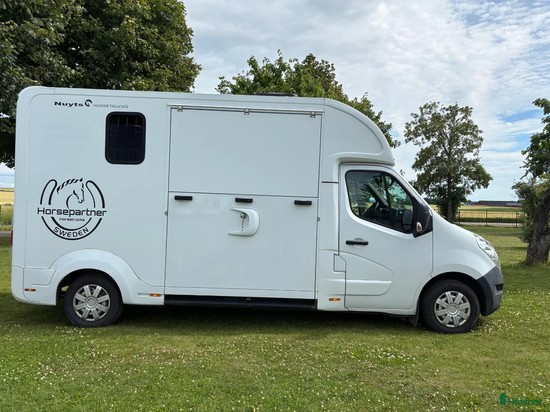Hästlastbilar  fordon & transport till salu: Horsepartner Nuyts Hästlastbil - Annons 2