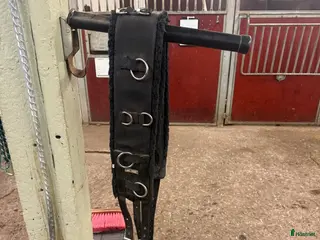 Övrig Hästutrustning hästutrustning Longeringsgjord i Stockholm - Annons 1